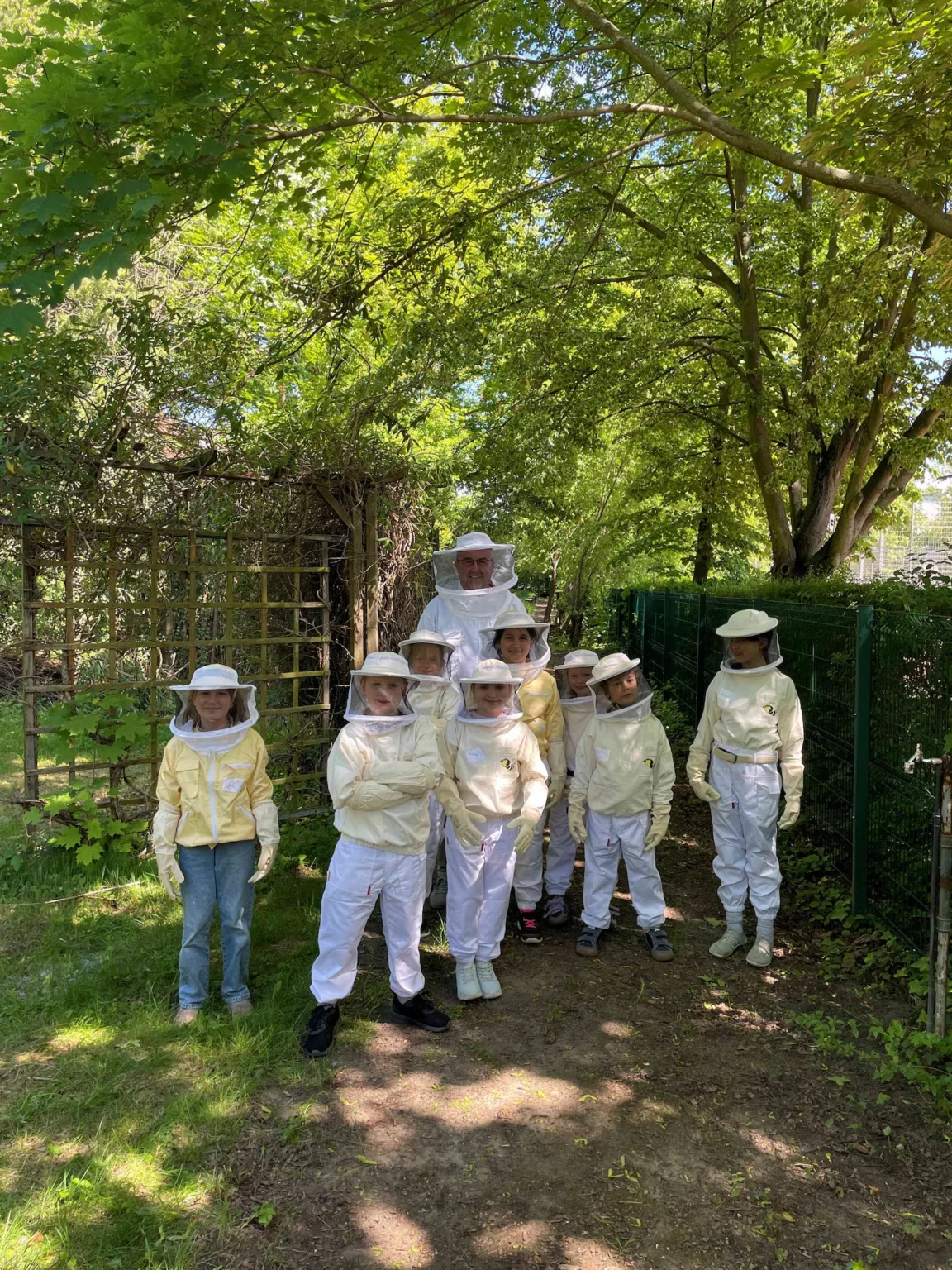 Bienen_1