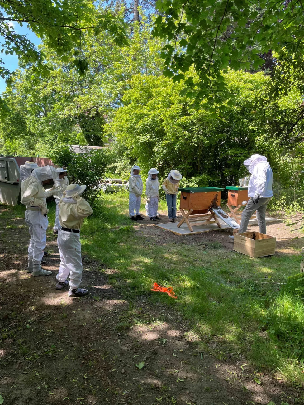 Bienen_3