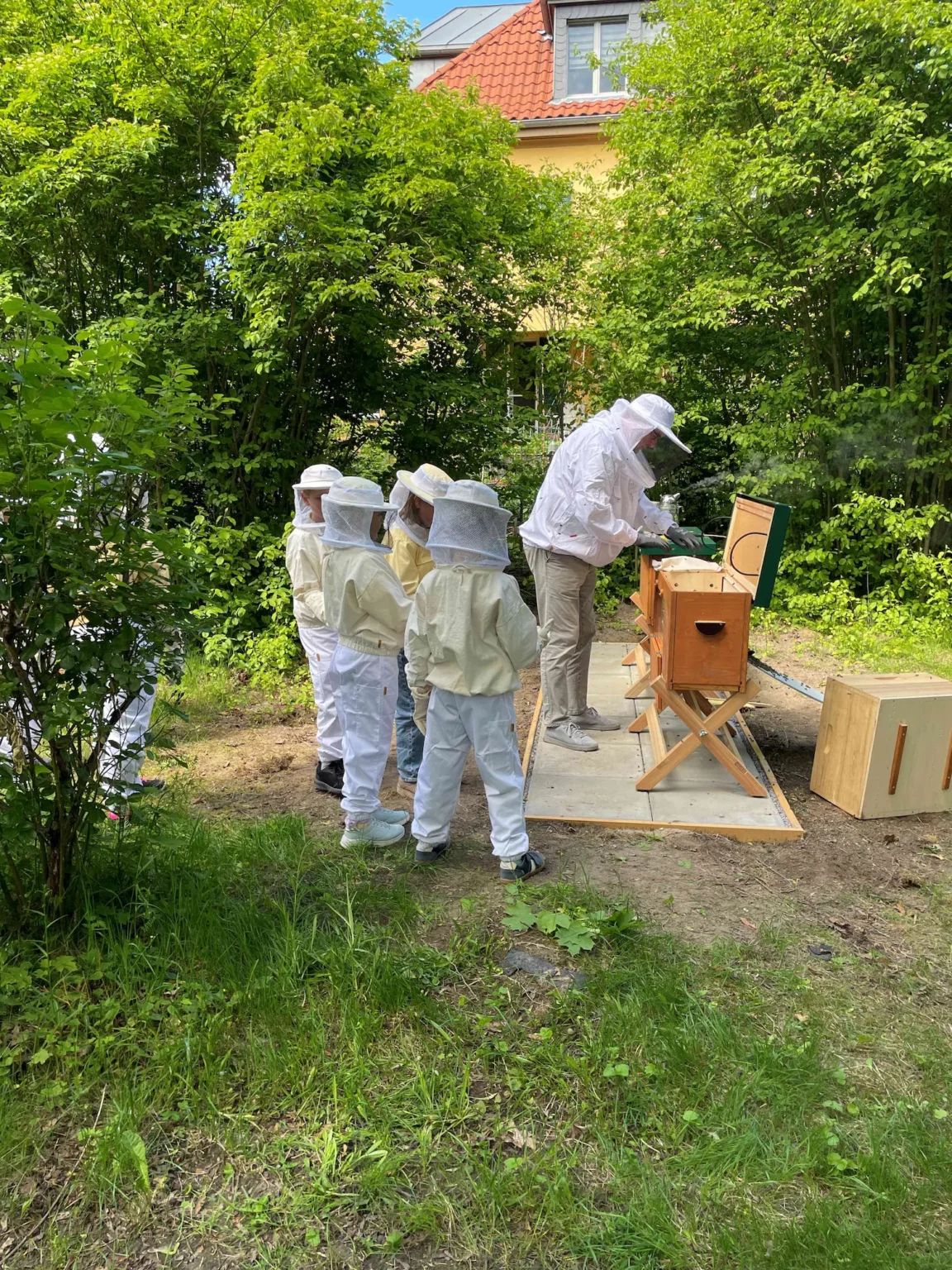 Bienen_6